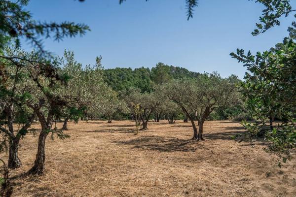 A VENDRE ! FLAYOSC TERRAIN CONSTRUCTIBLE 1615 m²