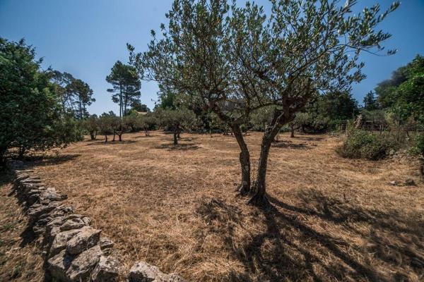 A VENDRE ! FLAYOSC TERRAIN CONSTRUCTIBLE 1615 m²