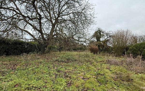 Maison à vendre    7 pièces • 180 m2 Rozay-en-Brie