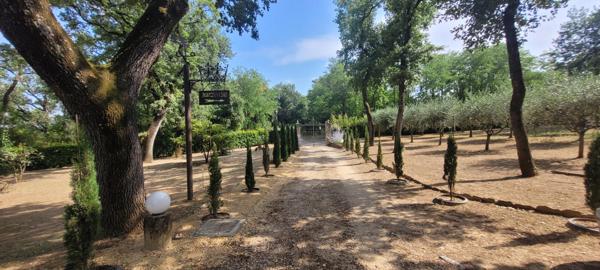 Magnifique maison familiale de 289 m² dans un havre de paix