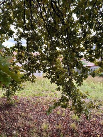 Terrain à Batir à vendre à Bordeaux en Gironde (33200), ref : 022/1194 Primrose