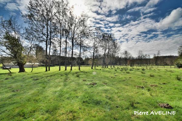 Terrain à vendre ARGENVILLIERS (28)