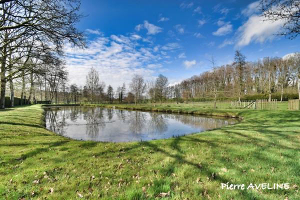 Terrain à vendre ARGENVILLIERS (28)