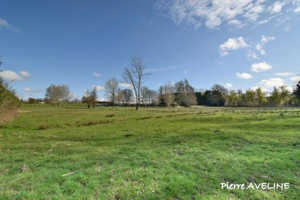 Terrain à vendre ARGENVILLIERS (28)