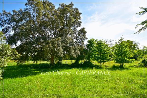 Maison à vendre de plain-pied 6 pièces proche de RISCLE (32) de 162 m2 habitables sur 4947 m2 de terrain