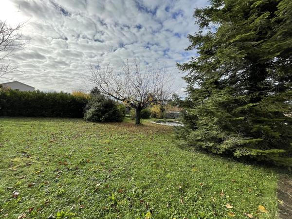 La campagne à la ville!!