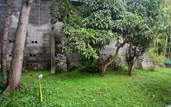 Maison à vendre    6 pièces • 255 m2 Le Tampon