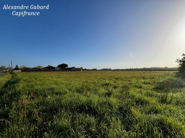 Terrain constructible aux portes de Langon - Environnement privilégié