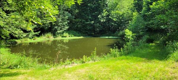 Maison à vendre |  Altillac |  5 pièces | 100 m²