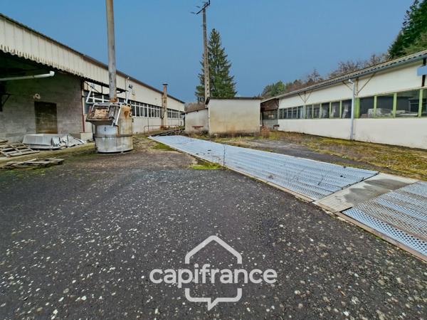 Ancienne usine à vendre CELLES SUR DUROLLE (63)