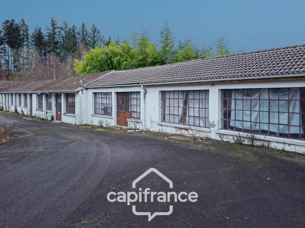 Ancienne usine à vendre CELLES SUR DUROLLE (63)