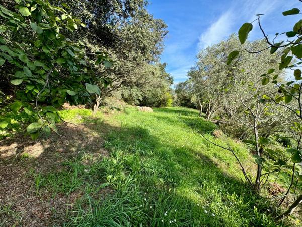 LES ARCS- terrain dominant expo sud -vue village-OFFRE SERIEUSE POSSIBLE !