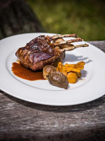 Fonds de commerce avec murq, à vendre proche de OBERNAI (67): Restaurant / Hôtel / Chalet locatif / Logement Fonction - Réserve Foncière.