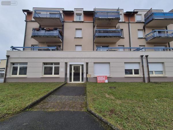 Local Professionnel et commercial à vendre à Delle sur le Territoire de Belfort (90100), ref : VP125-25014