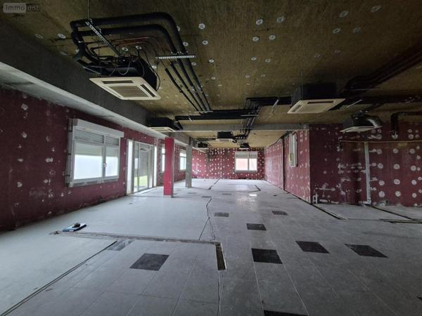 Local Professionnel et commercial à vendre à Delle sur le Territoire de Belfort (90100), ref : VP125-25014