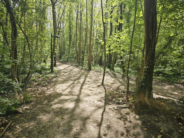 Palaiseau (91120) Maison Palaiseau 9 pièce(s) 183 m2