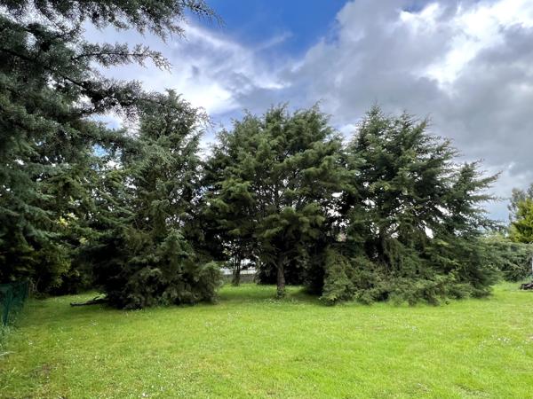 Savonnières (37510) Beau terrain 750m2