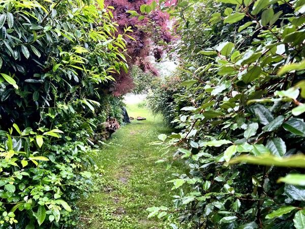 Savonnières (37510) Beau terrain 750m2