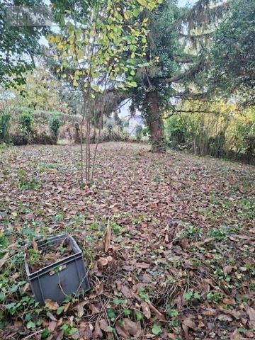 Maison à vendre à Loire-Authion dans le Maine-et-Loire (49250), ref : 49002-1190