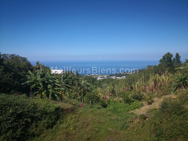  TERRAIN  980 M2 DONT 350 M2 CONSTRUCTIBLE