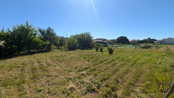 Vente terrain L Aiguillon Sur Mer : 55 000 € - L'Aiguillon la Presqu'Ile - Agent Co David Billaud