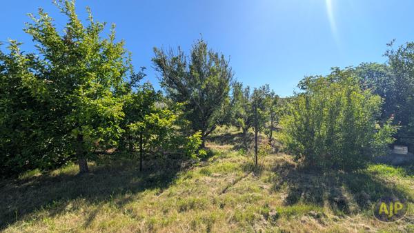 Vente terrain L Aiguillon Sur Mer : 55 000 € - L'Aiguillon la Presqu'Ile - Agent Co David Billaud