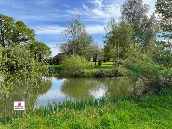 Proche de SEES L'EVECHE (61500)  PROPRIETE , 9 pièce(s)  220 m2 environ, 5 chambres, PRIX  239 000, honoraires 4,82% inclus à la charge de l'acquéreur, soit  228 000 hors honoraires