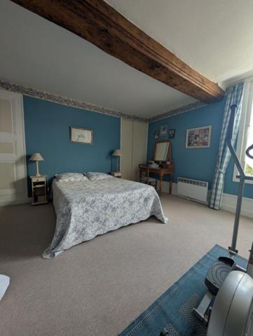 Maison Chouze Sur Loire 6 pièce(s) 236 m2