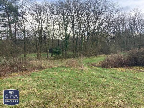 Maison à vendre 2 pièces 80m² Rigny-Ussé (37420)