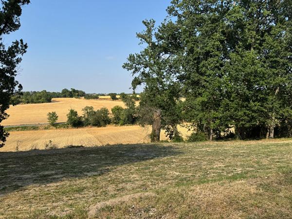Terrain L Isle Jourdain 1003 m2