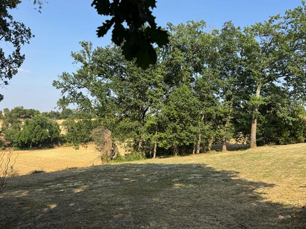Terrain L Isle Jourdain 1003 m2