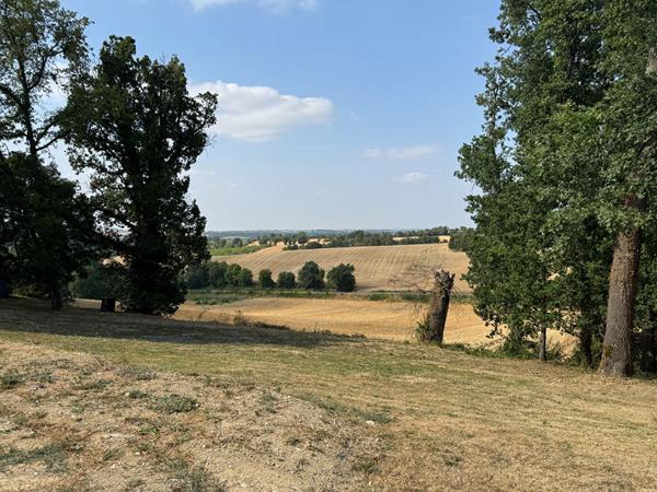 Terrain L Isle Jourdain 1003 m2