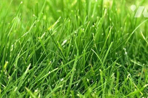 Vente terrains à bâtir Bourg HENON