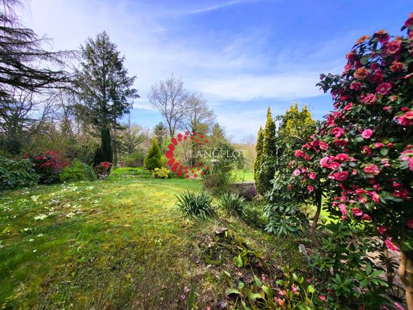Maison d'architecte 167m² sur terrain arboré de 5100m²