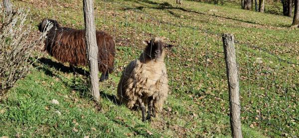 Maison en pierre proche du Bugue de 155 m2
