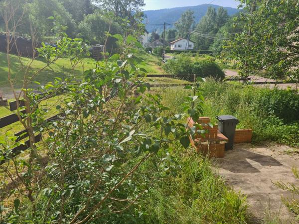 Vente Maison105 m² - 4 Pièces - SAINT MAURICE SUR MOSELLE (88560)