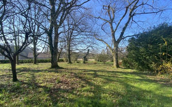 Maison à vendre    9 pièces • 200 m2 Pouillon