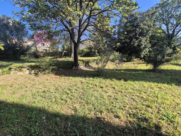 Vente Terrain 550 m2 à Draguignan