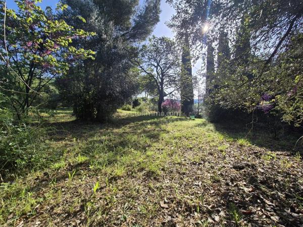 Vente Terrain 550 m2 à Draguignan