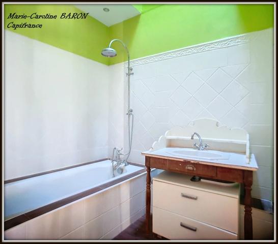 BUZANCAIS (36)maison atypique 3 chambres grandes surfaces