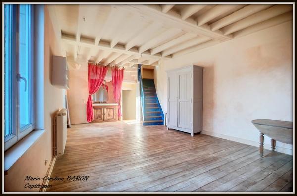 BUZANCAIS (36)maison atypique 3 chambres grandes surfaces