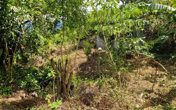 Maison à vendre    2 pièces •  Cilaos