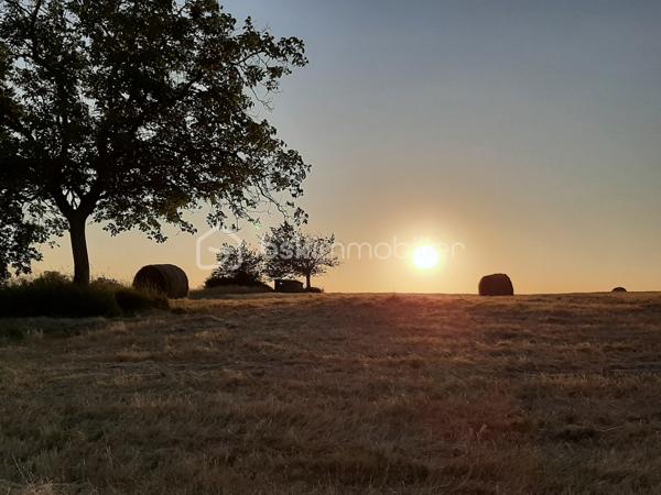 🌳 À saisir – Beau terrain constructible à Crotelles (37380) 🌳

BAISSE DE PRIX !!

Magnifique terrain de 592 m², situé au cœur de la charmante commune de Crotelles, vous profiterez d’un environnement paisible tout en restant à quelques minutes des commerces de Monnaie ou Château-Renault

Un autre terrain similaire est disponible à proximité d'une surface de 757 m², me consulter pour plus d'informations
Possibilité d'acquérir les deux parcelles pour en former une grande de 1349 m²

✨ Les atouts du terrain :

Superficie généreuse : 592 m² pour bâtir la maison de vos rêves
Environnement naturel et agréable, parfait pour les amoureux de tranquillité
Belle luminosité et bonne exposition 
Libre de tout constructeur

📍 Infos pratiques :

Terrain non viabilisé (raccordement aux réseaux à prévoir en bordure de route)
Accès facile à la parcelle
Terrain plat
Commune à proximité de Monnaie à 5 min, Amboise et de Tours nord à 20 min
Ecole primaire sur la commune
Belles balades à prévoir dans la vallée du Magdelon et ses chemins de randonnées à proximité

💡 Idéal pour un premier projet immobilier ou une résidence secondaire au vert.

👉 Ne manquez pas cette opportunité à Crotelles