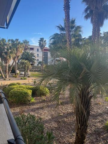 Appartement proche des plages Sete