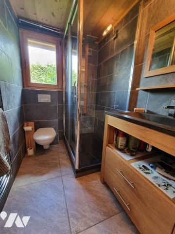 Chalet 6 chambres Châtel