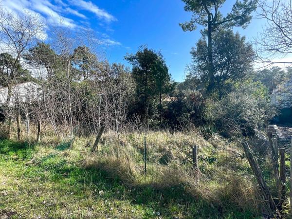 Terrain à vendre    Saint-Georges-d'Oléron