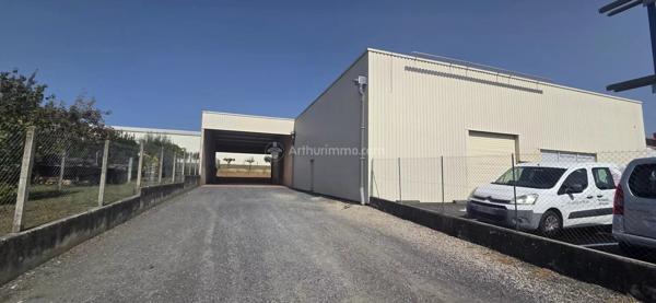 Location                                                      Local commercial
                        
                     2 pièces                      300 m2                     à Puygouzon