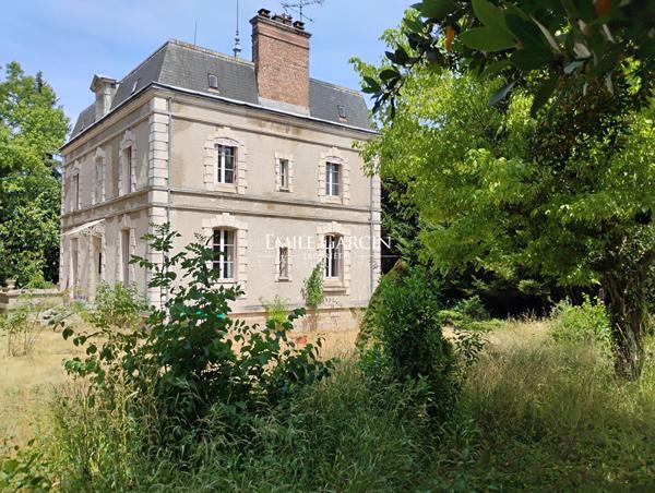 A VENDRE- Saint Fargeau- Bourgogne 89- Maison Bougeoise 8 Ch jardin de 2600m2