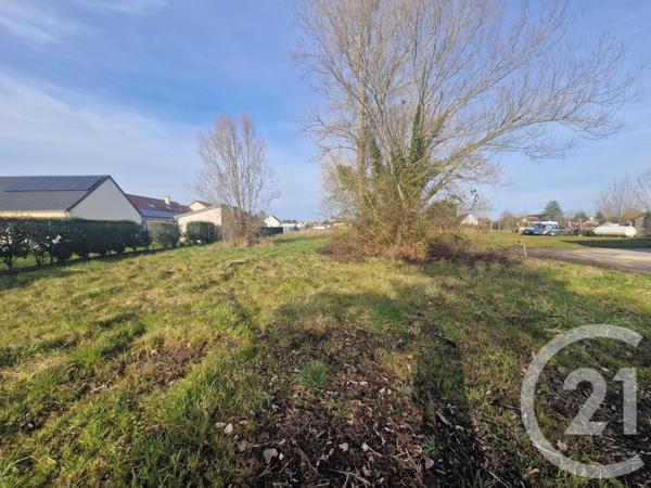 Terrain à vendre  1500 m2 PRUNIERS EN SOLOGNE - 41
