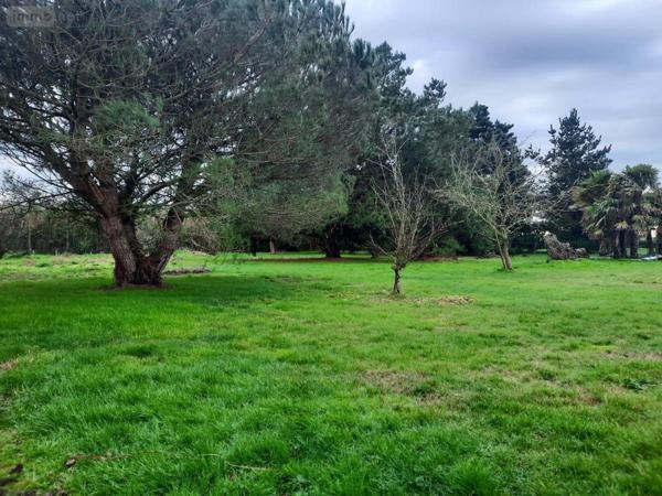 Terrain à Batir à vendre à Saint-Urbain en Vendée (85230), ref : 85091-5087